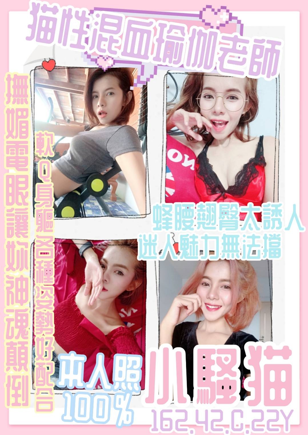其他國家嘉義小騷貓定點圖片