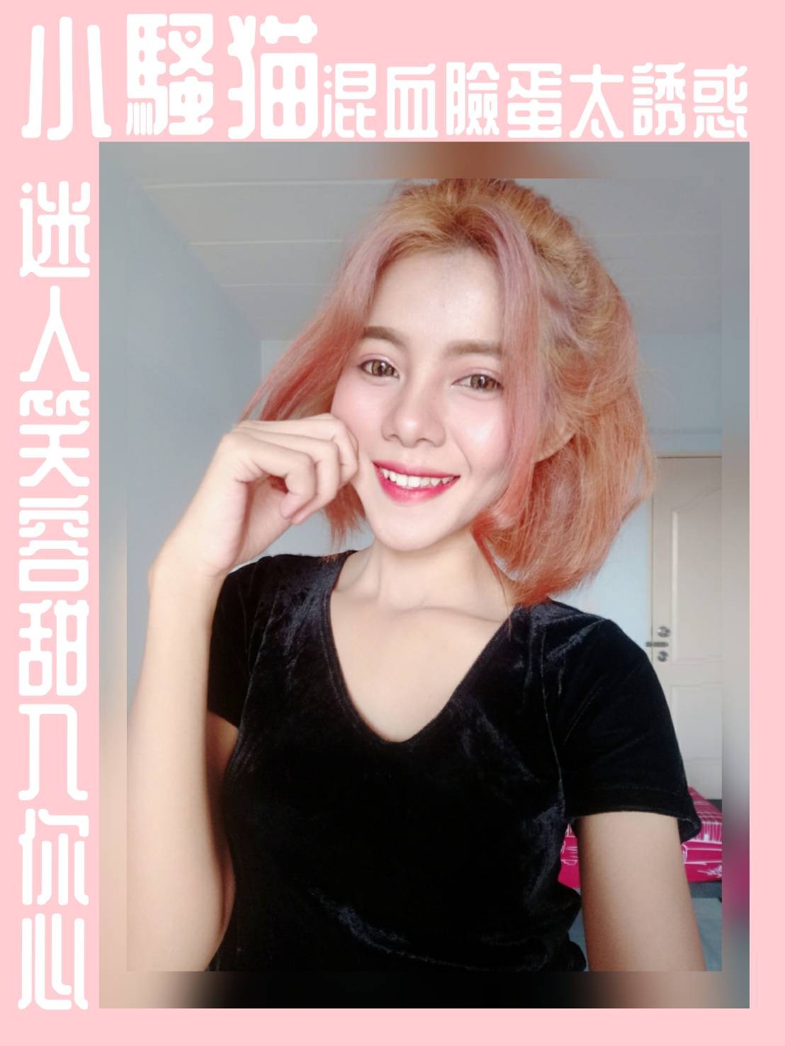 其他國家嘉義小騷貓定點圖片