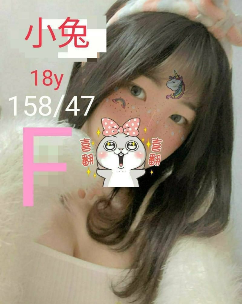 台灣台中小兔外約圖片