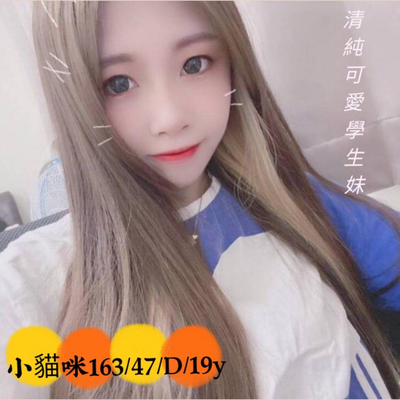 台灣台中小貓咪外約圖片