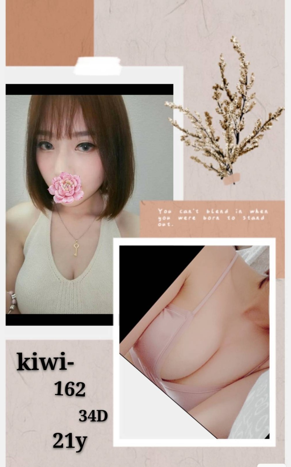 台灣台北kiwi外約圖片