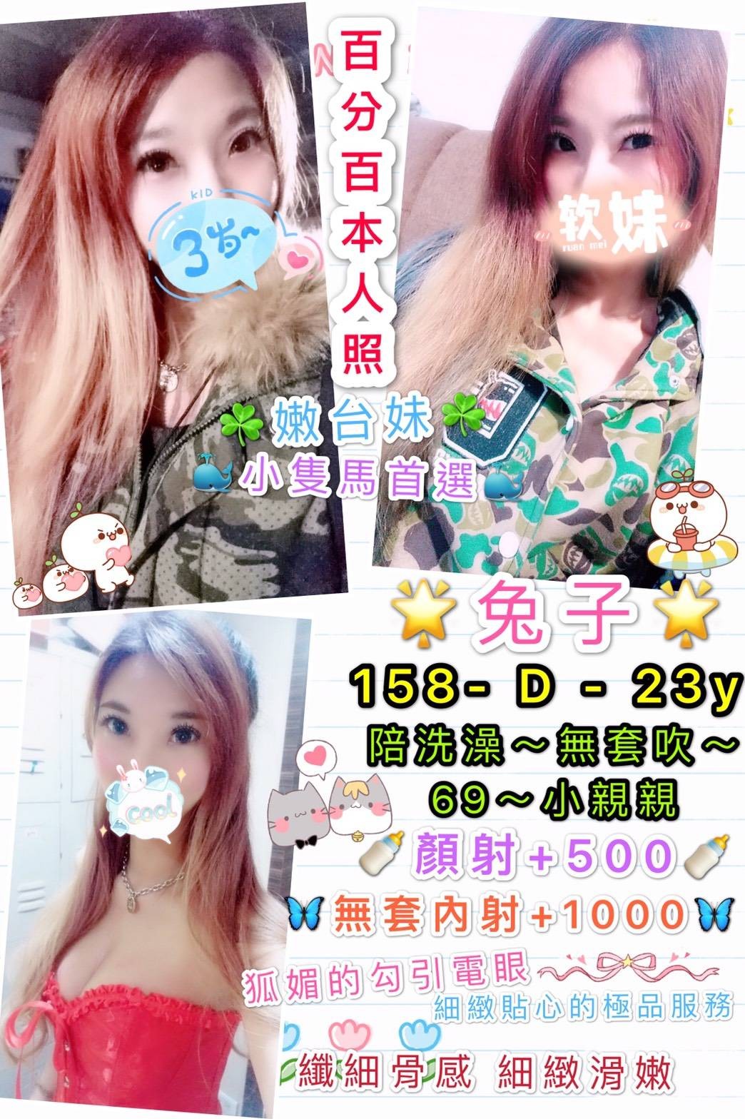 台灣台北兔子定點圖片