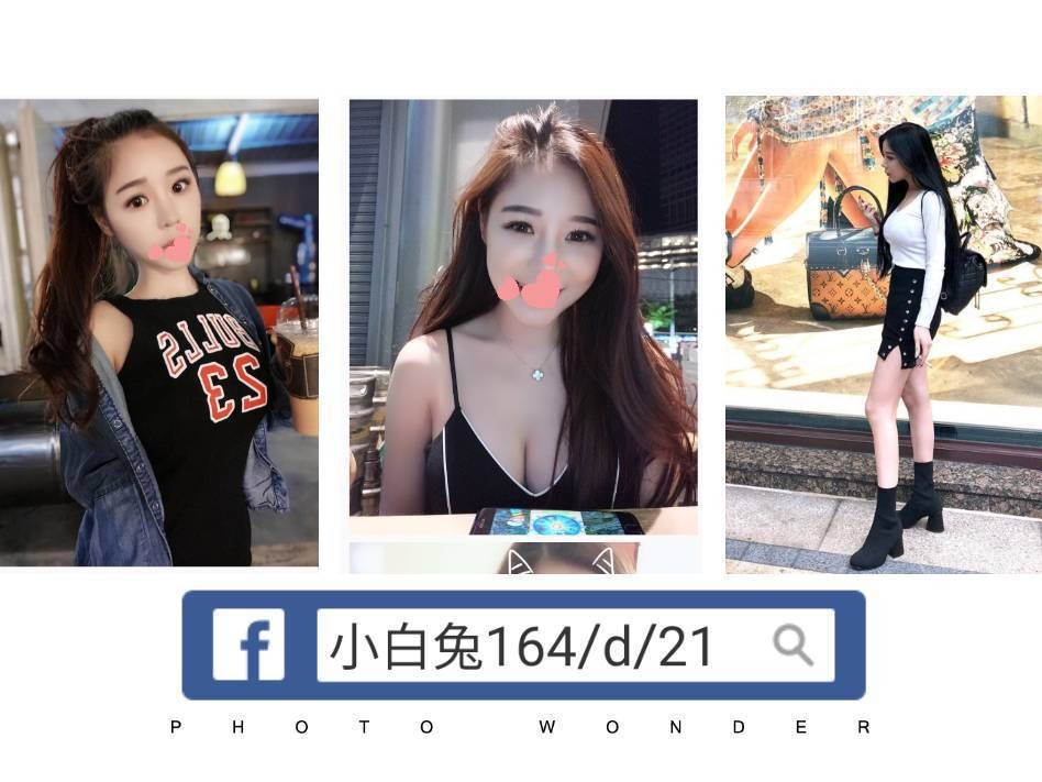 台灣台北小白兔外約圖片