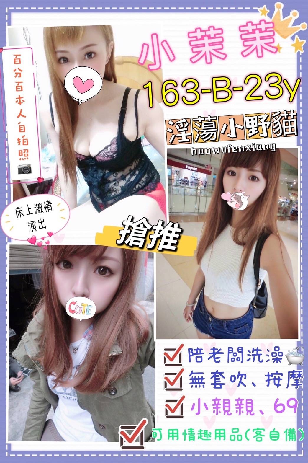 台灣台北小茉茉定點圖片