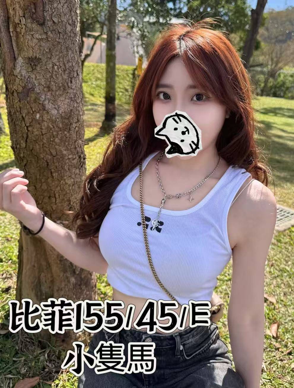 台灣台北比菲外約圖片