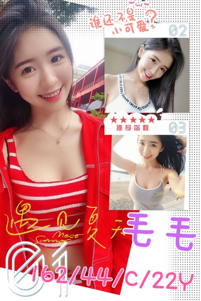 台灣台北毛毛定點圖片