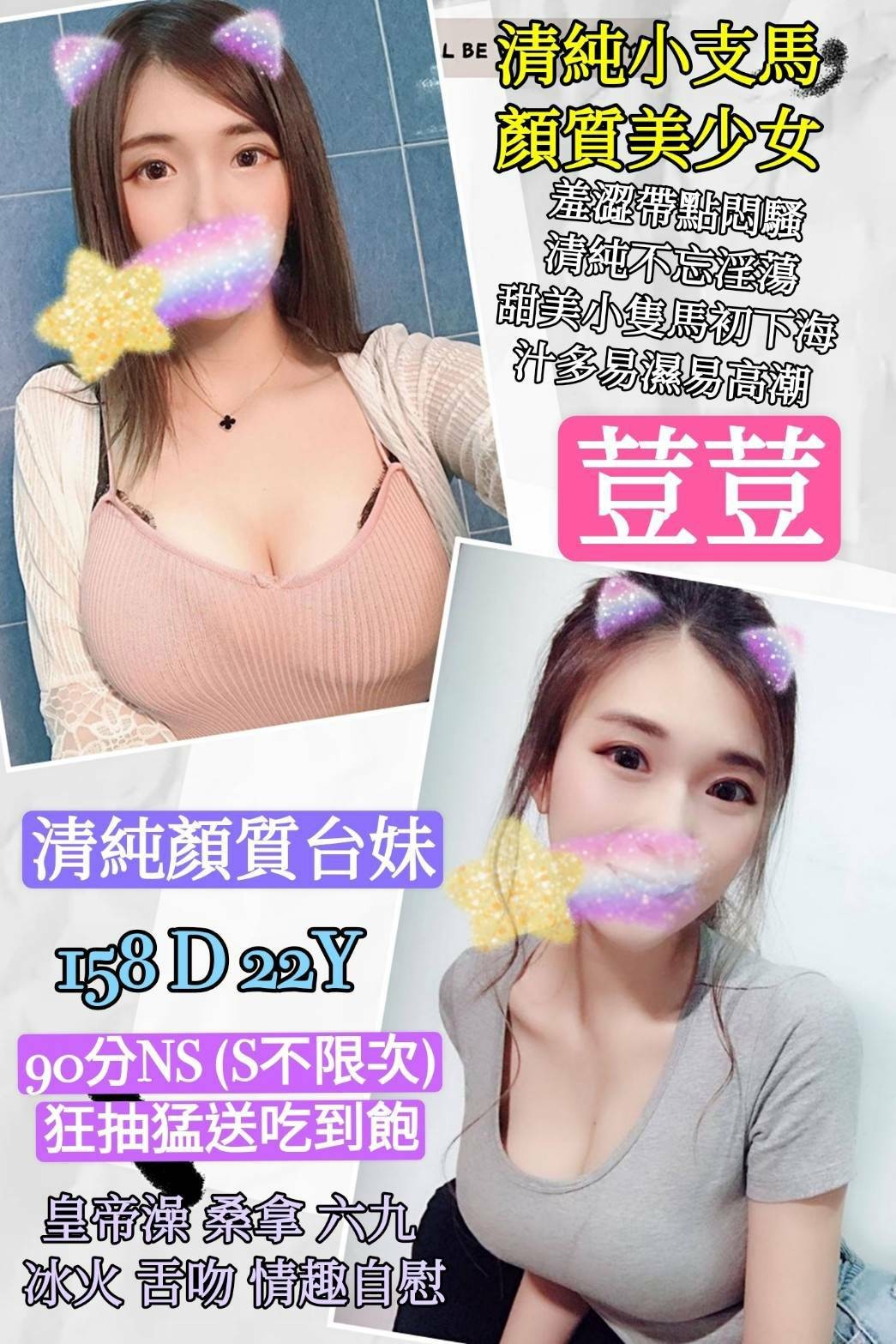台灣台北荳荳定點圖片