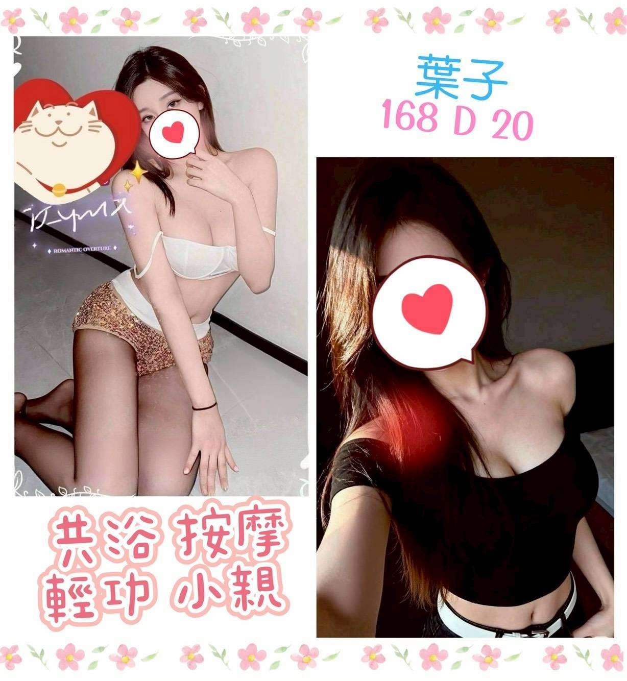 台灣台北葉子定點圖片