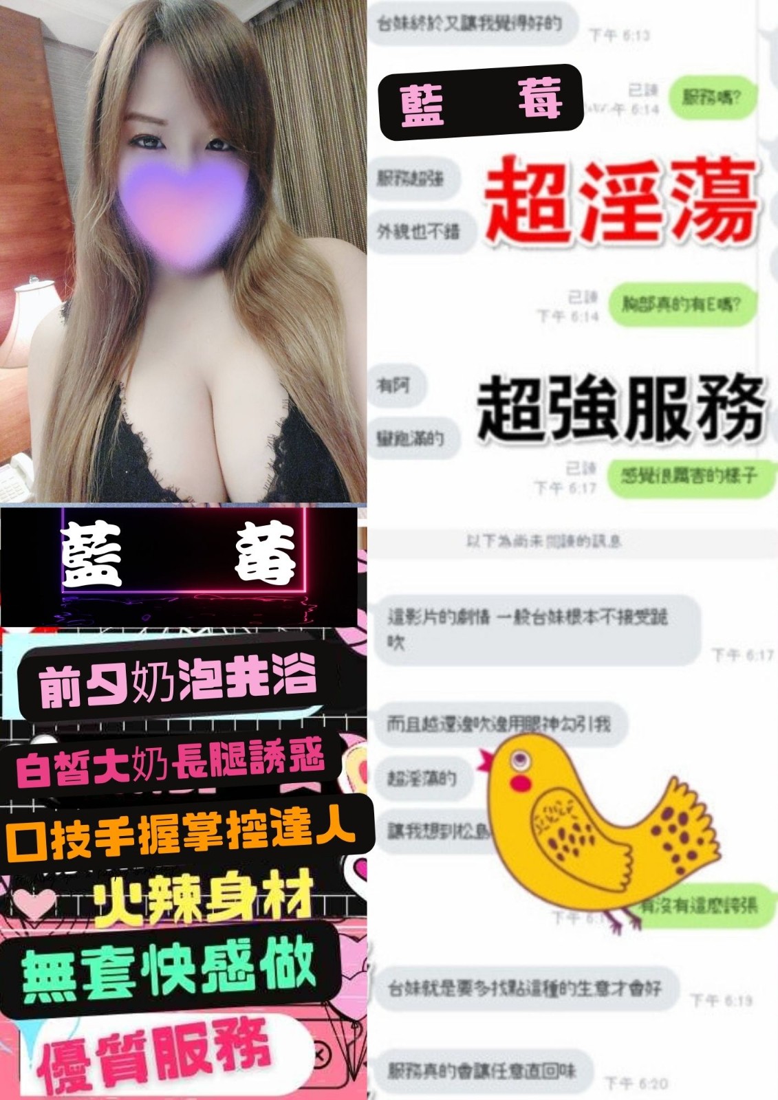 台灣台北藍莓定點圖片