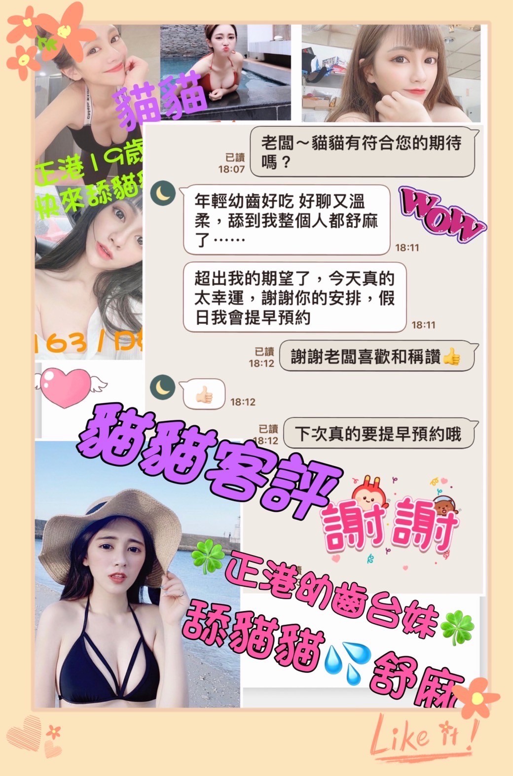 台灣台北貓貓定點圖片