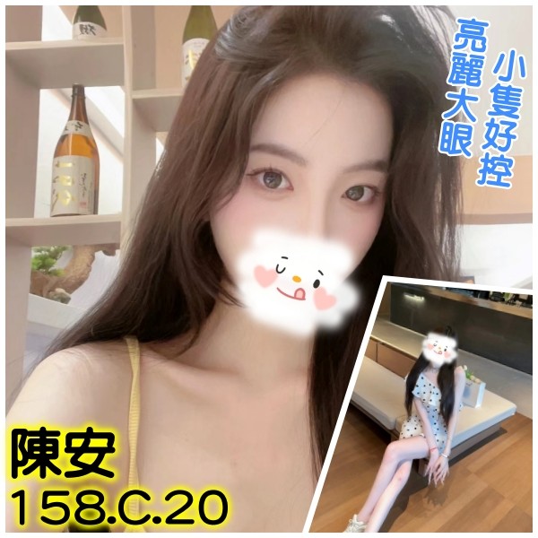 台灣台北陳安外約圖片