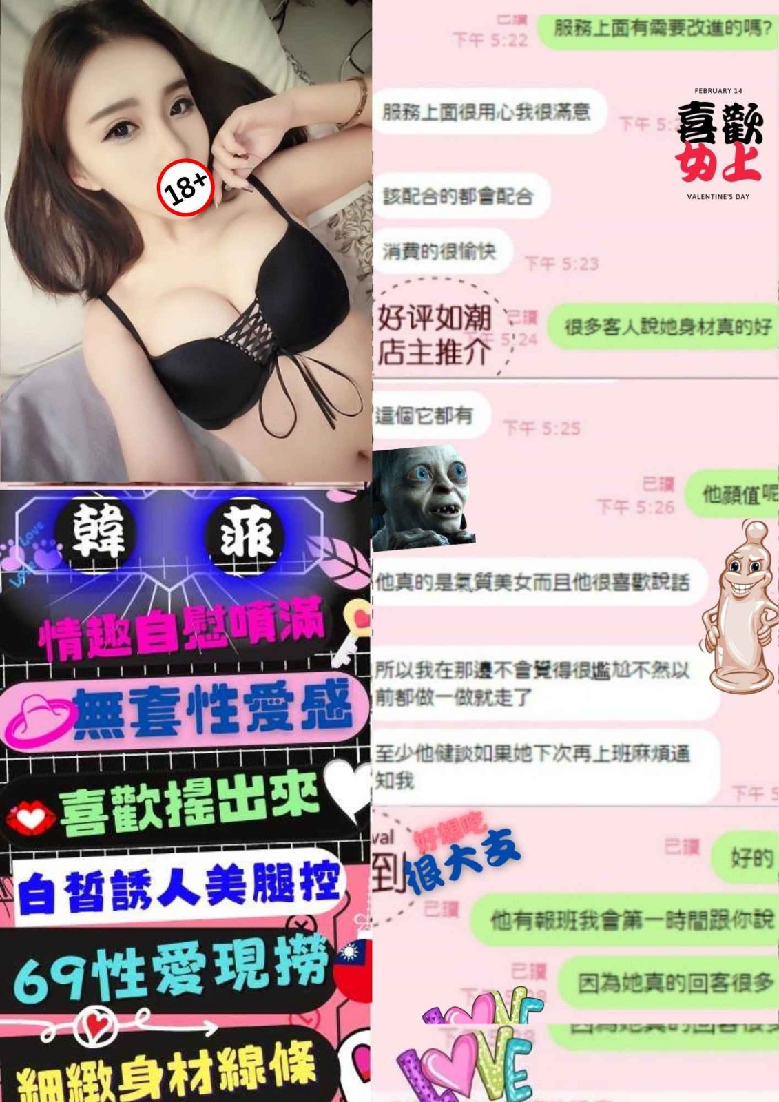 台灣台北韓菲定點圖片