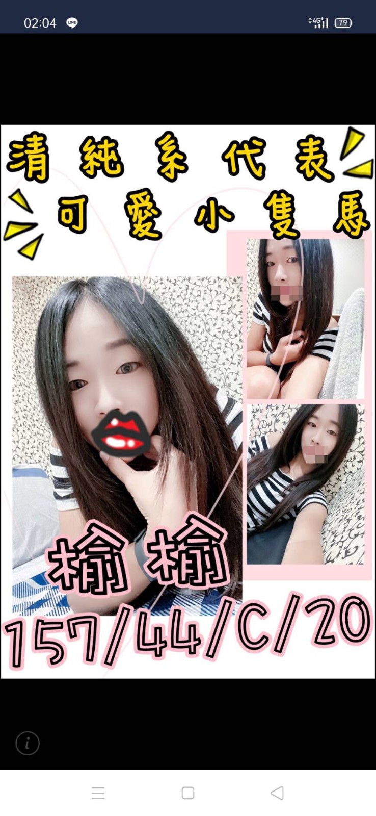 台灣台南榆榆定點圖片