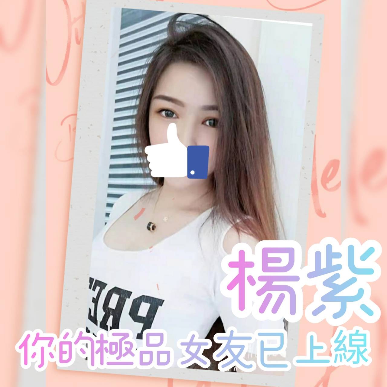 台灣嘉義楊紫定點圖片