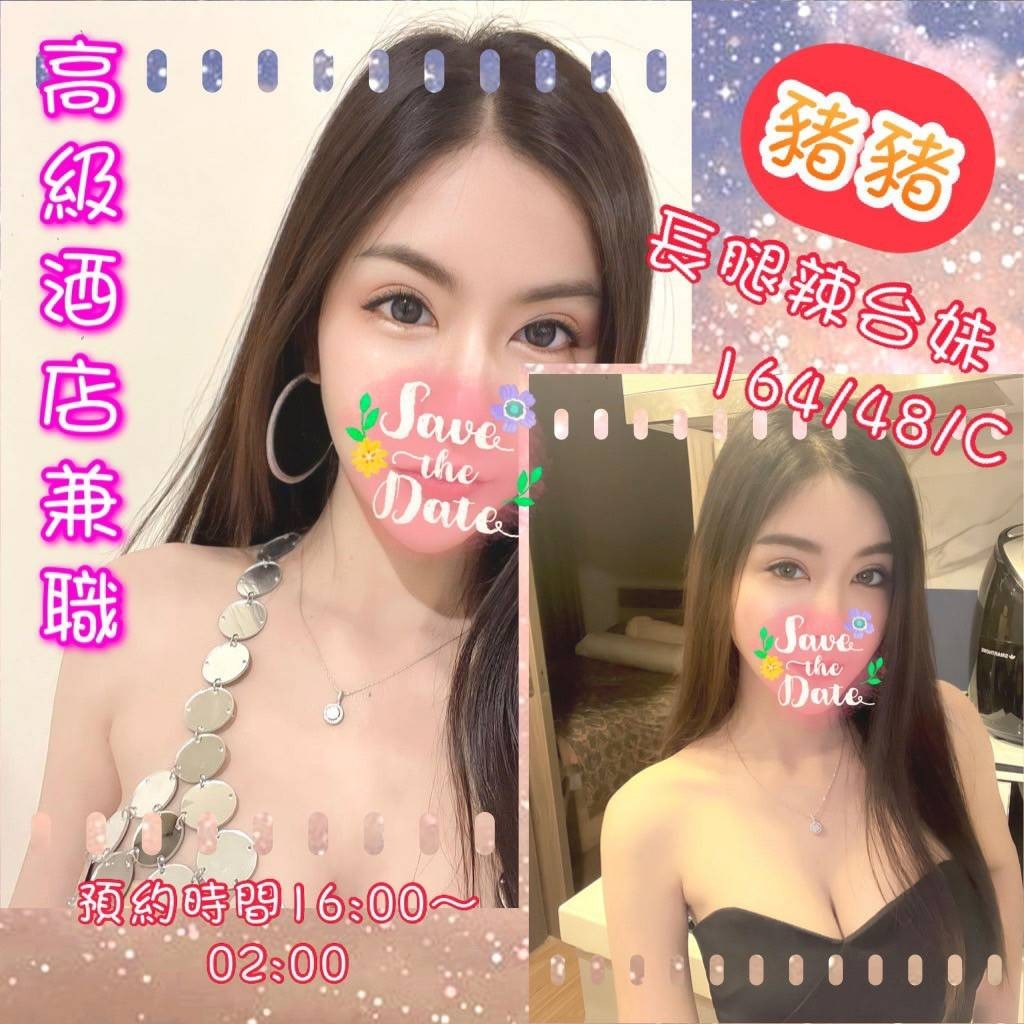 台灣嘉義豬豬定點圖片