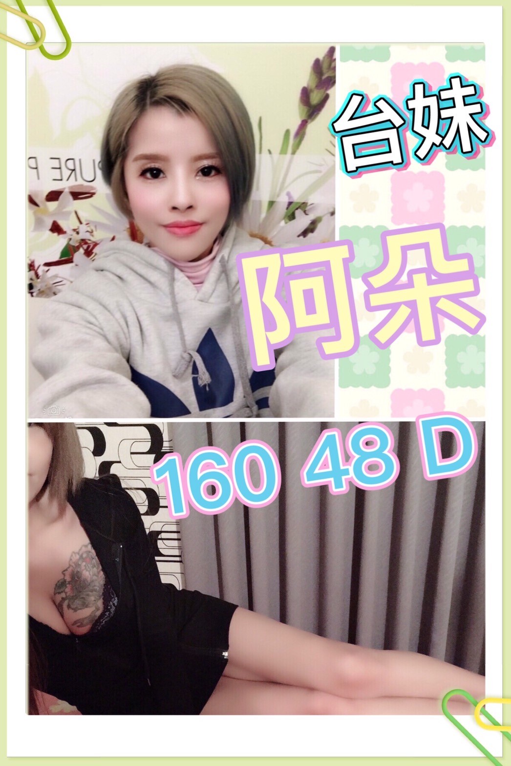 台灣新北阿朵定點圖片