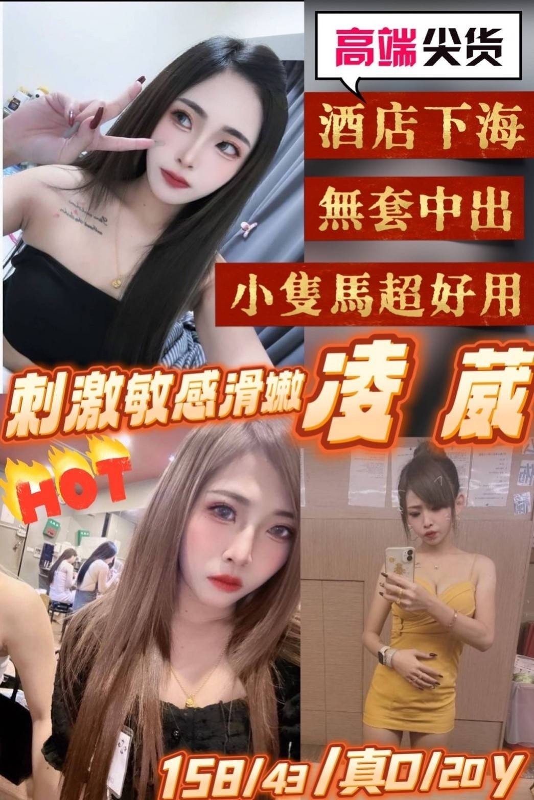 台灣新竹凌葳定點圖片