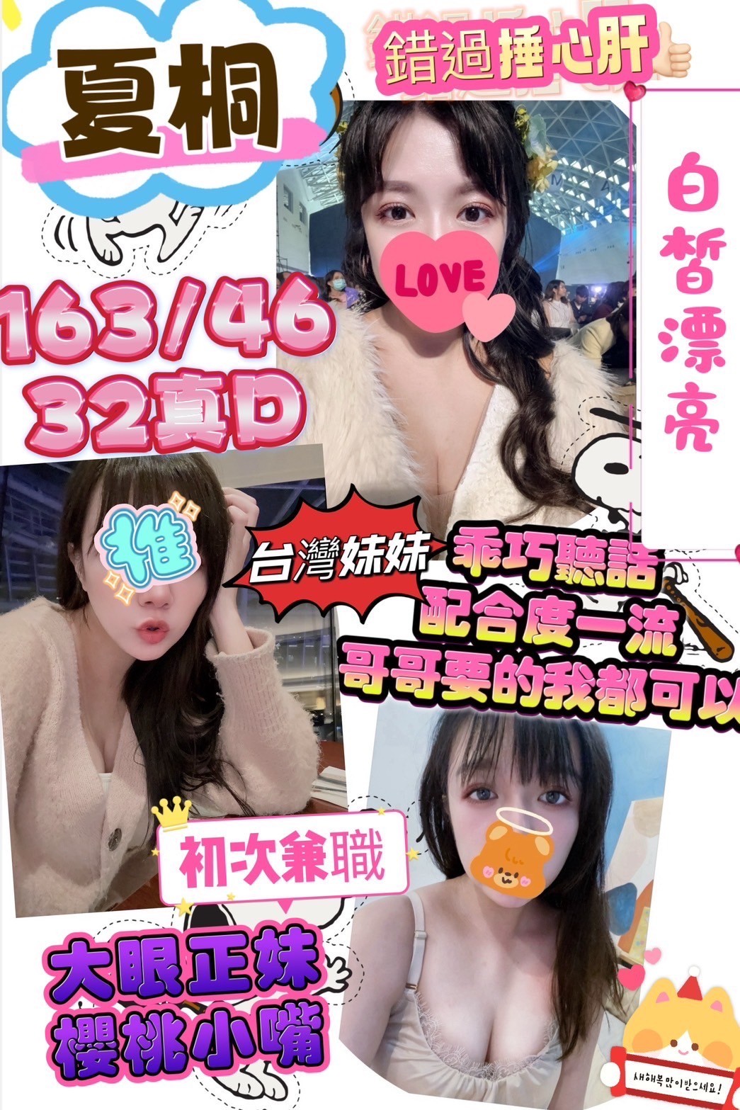 台灣桃園夏桐定點圖片