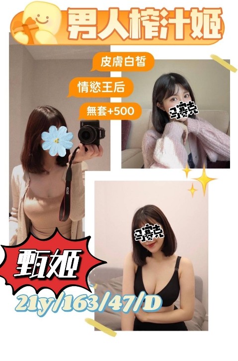 台灣桃園甄姬定點圖片