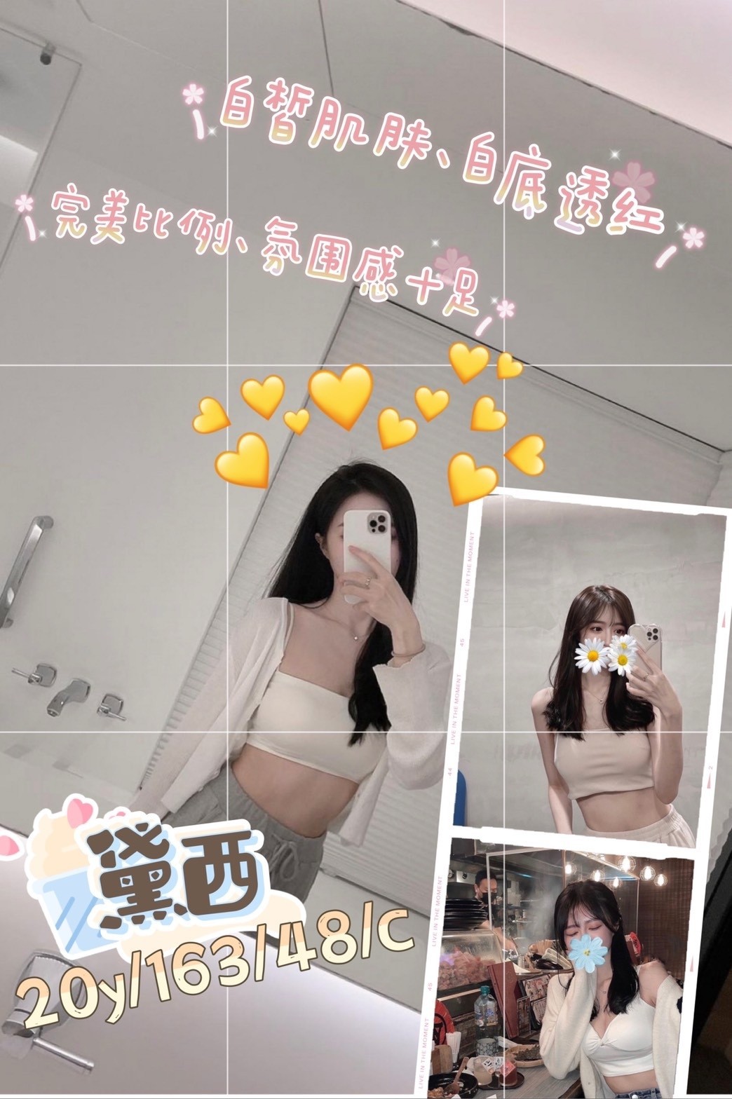 台灣桃園黛西定點圖片