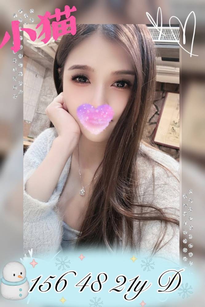 台灣高雄小猫定點圖片