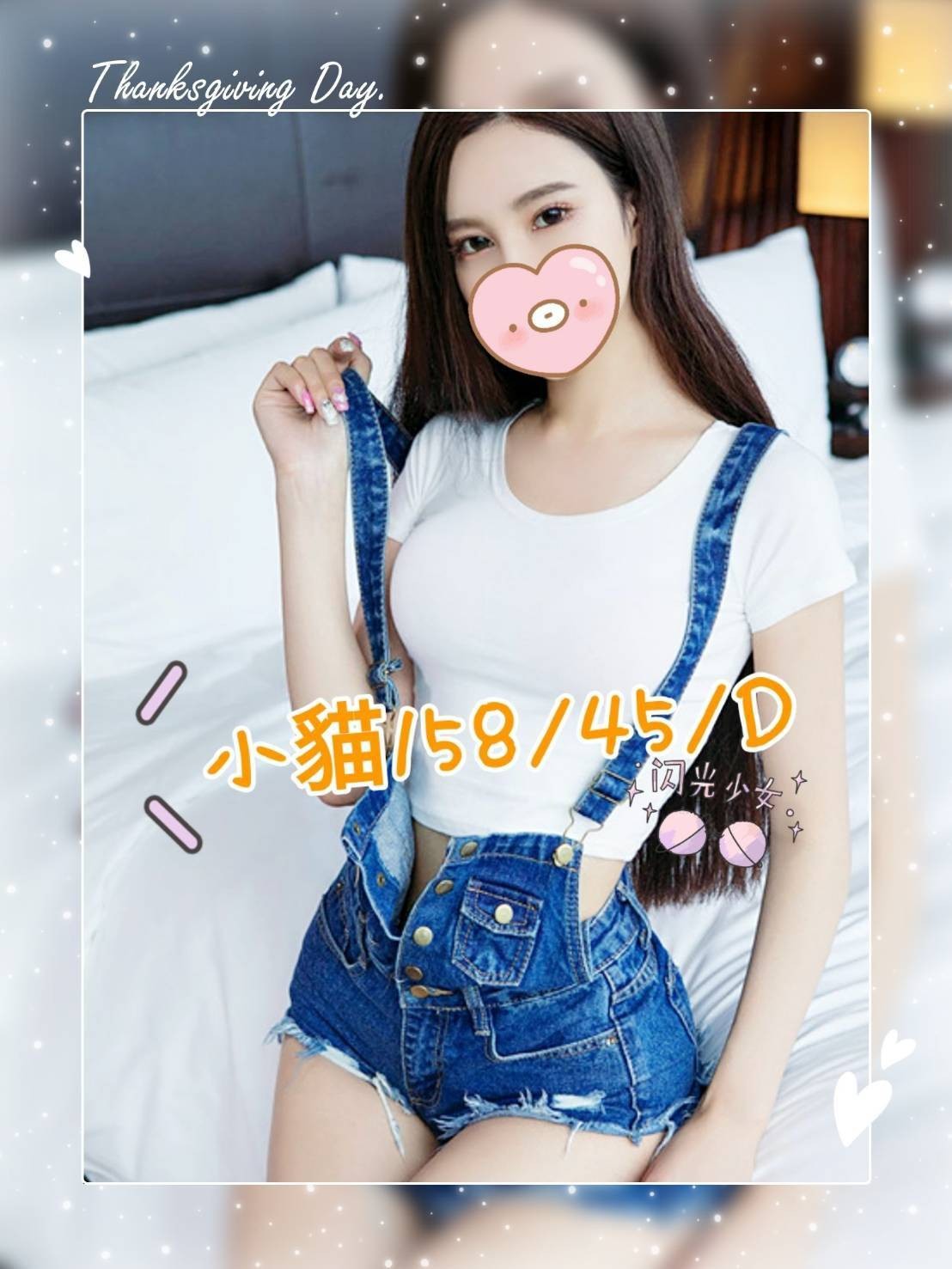 台灣高雄小貓定點圖片