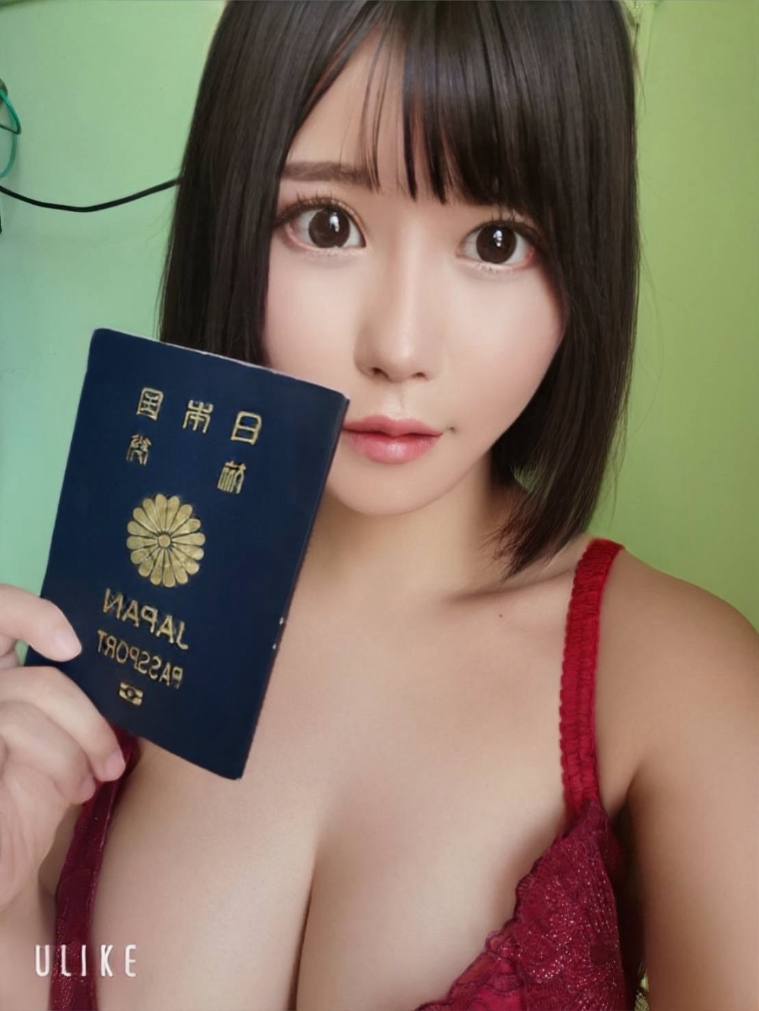 日本高雄春蕙桃外約圖片
