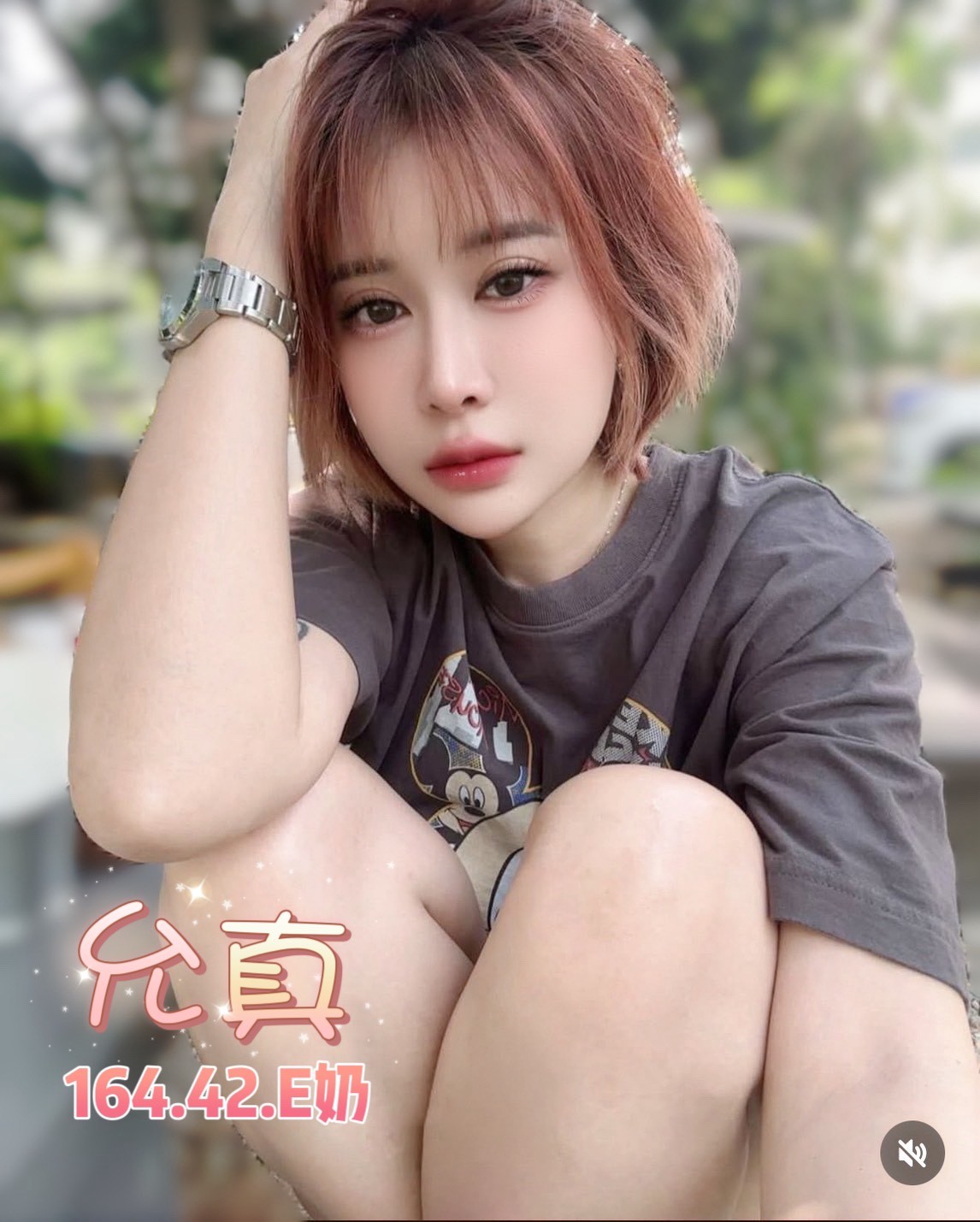 泰國台北允真定點圖片