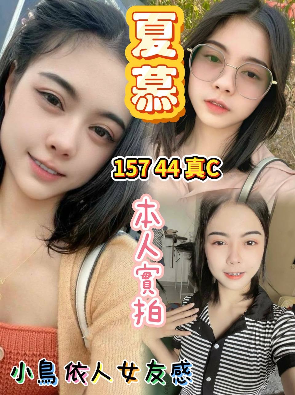泰國台北夏慕定點圖片