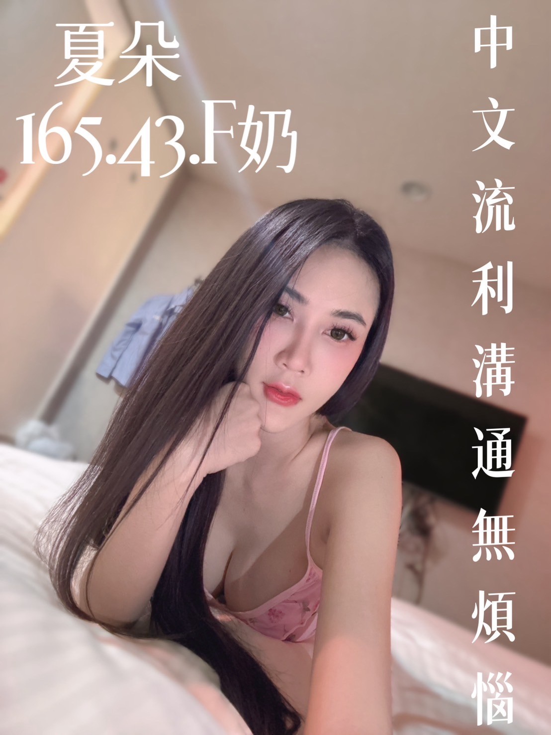 泰國台北夏朵定點圖片