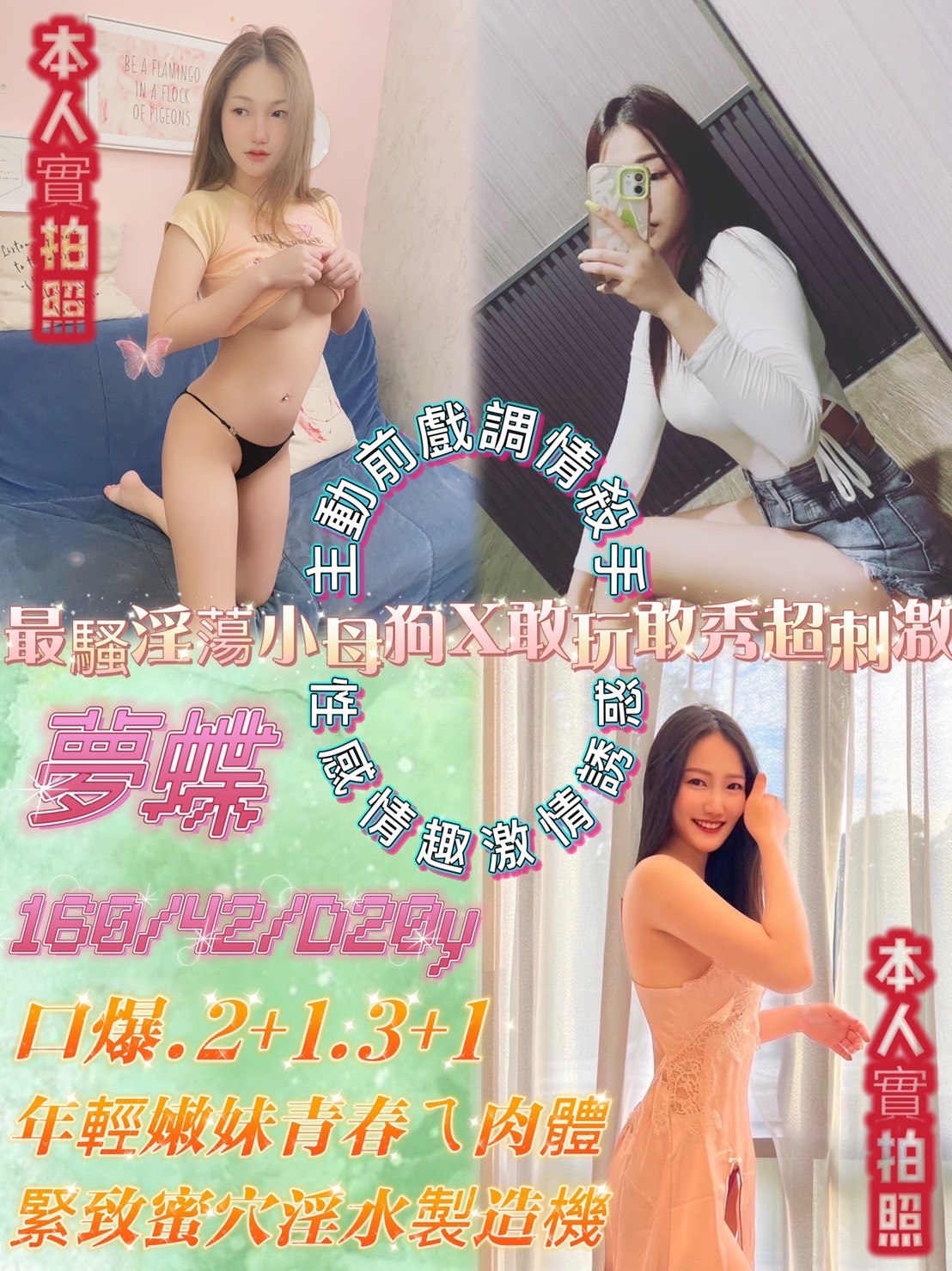 泰國台北夢蝶定點圖片