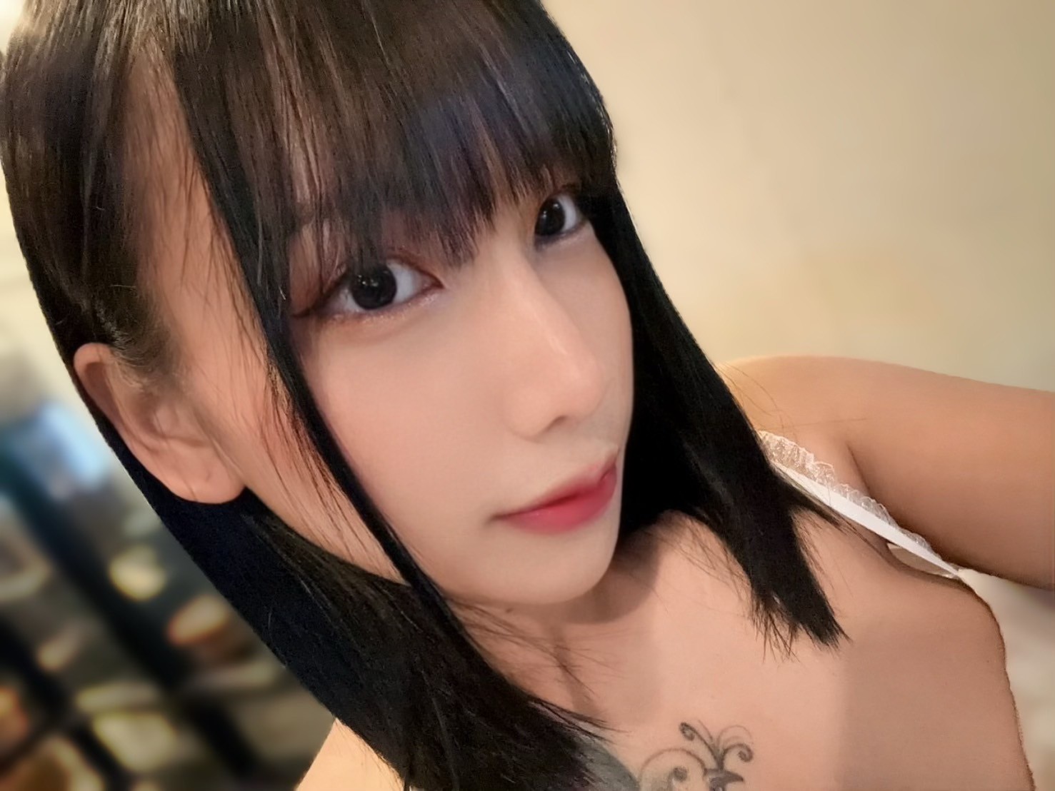 泰國台北小混血定點圖片