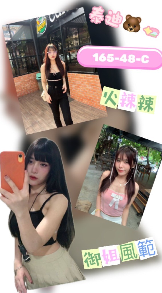 泰國台北泰迪定點圖片