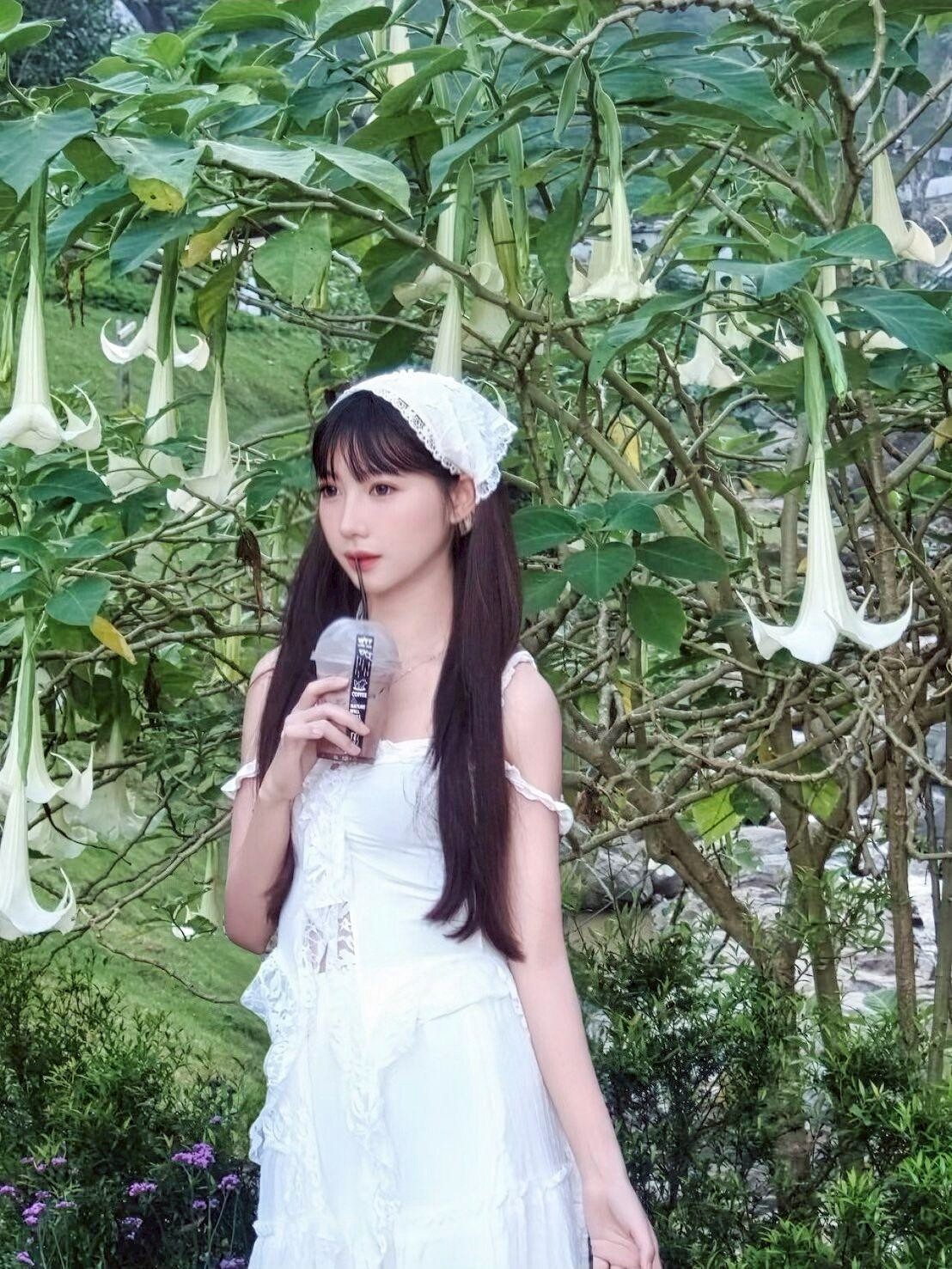 泰國台北白兔兔定點圖片