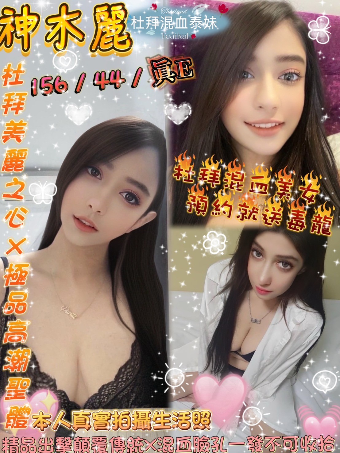 泰國台北神木麗定點圖片