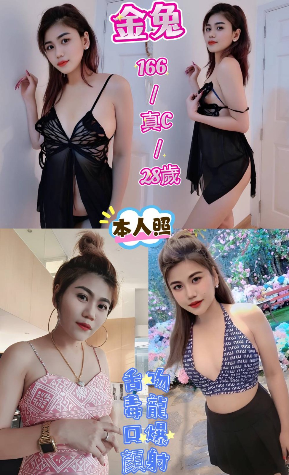 泰國新北金兔定點圖片