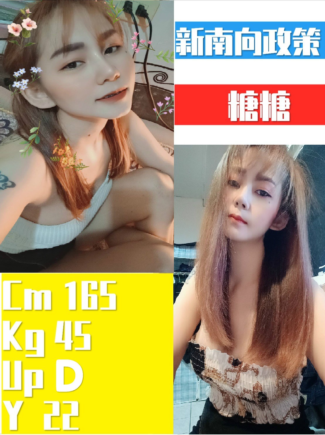 泰國新竹糖糖定點圖片
