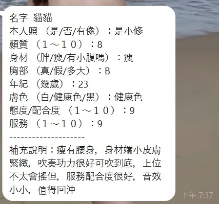 泰國新竹貓貓定點圖片