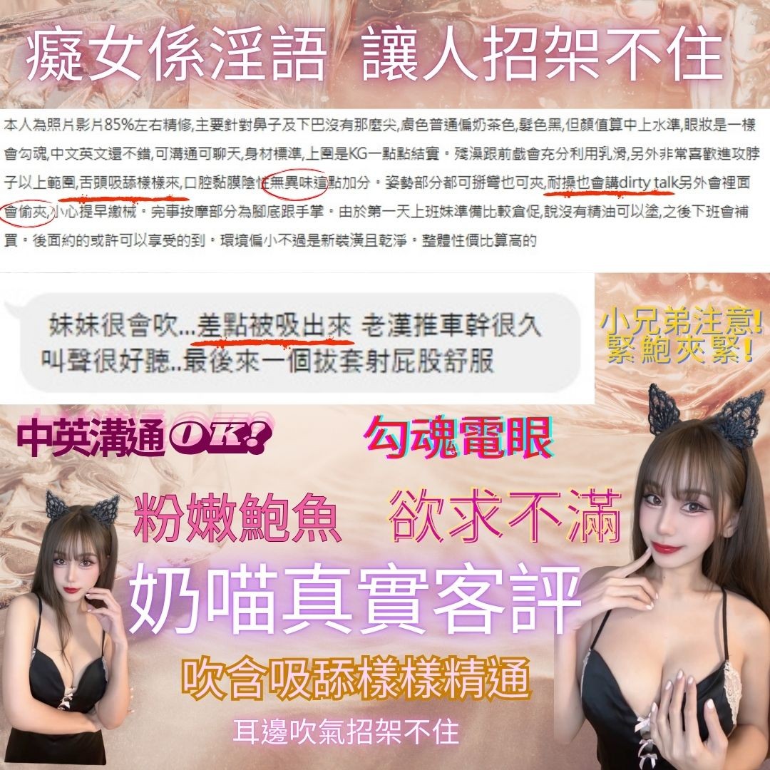 泰國桃園奶喵定點圖片
