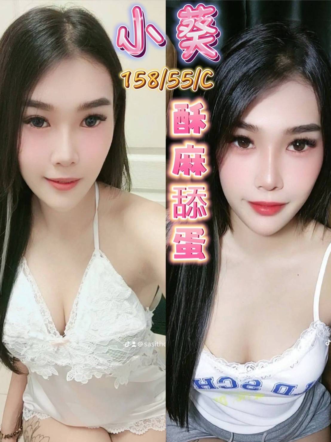 泰國桃園小葵定點圖片