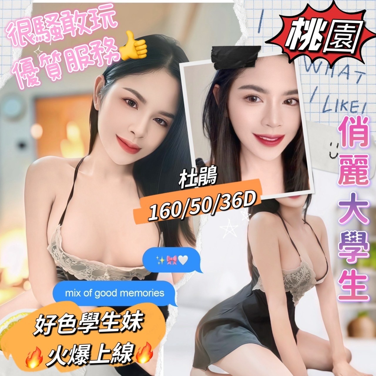 泰國桃園杜鵑定點圖片