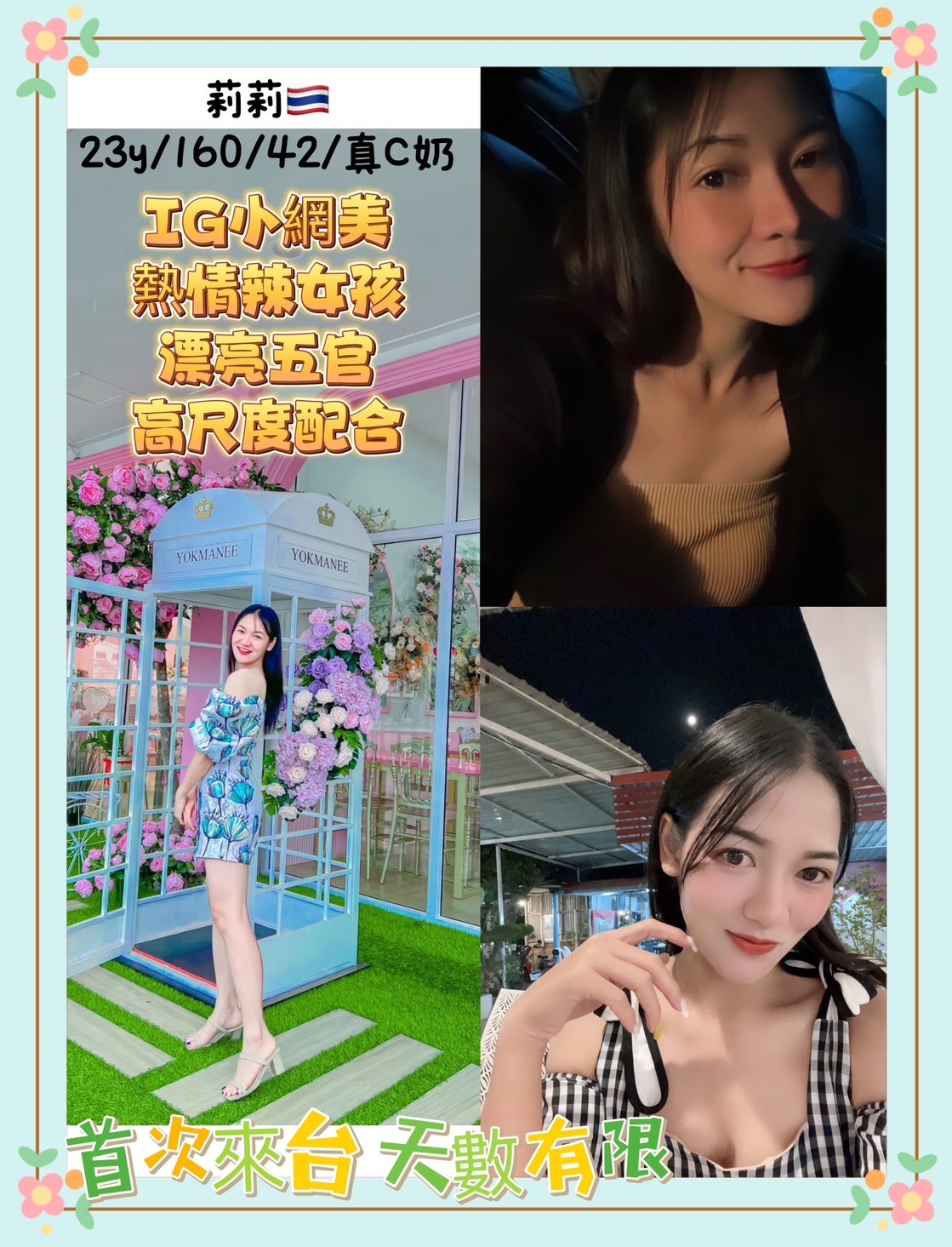 泰國桃園莉莉定點圖片