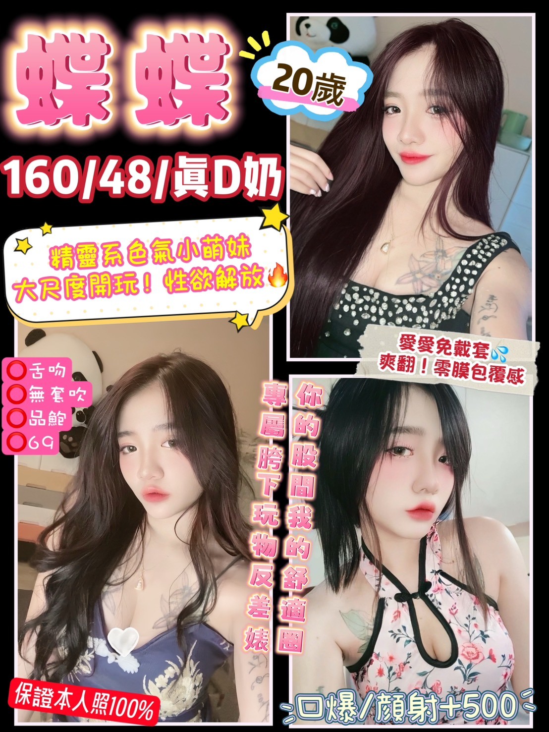 泰國桃園蝶蝶定點圖片