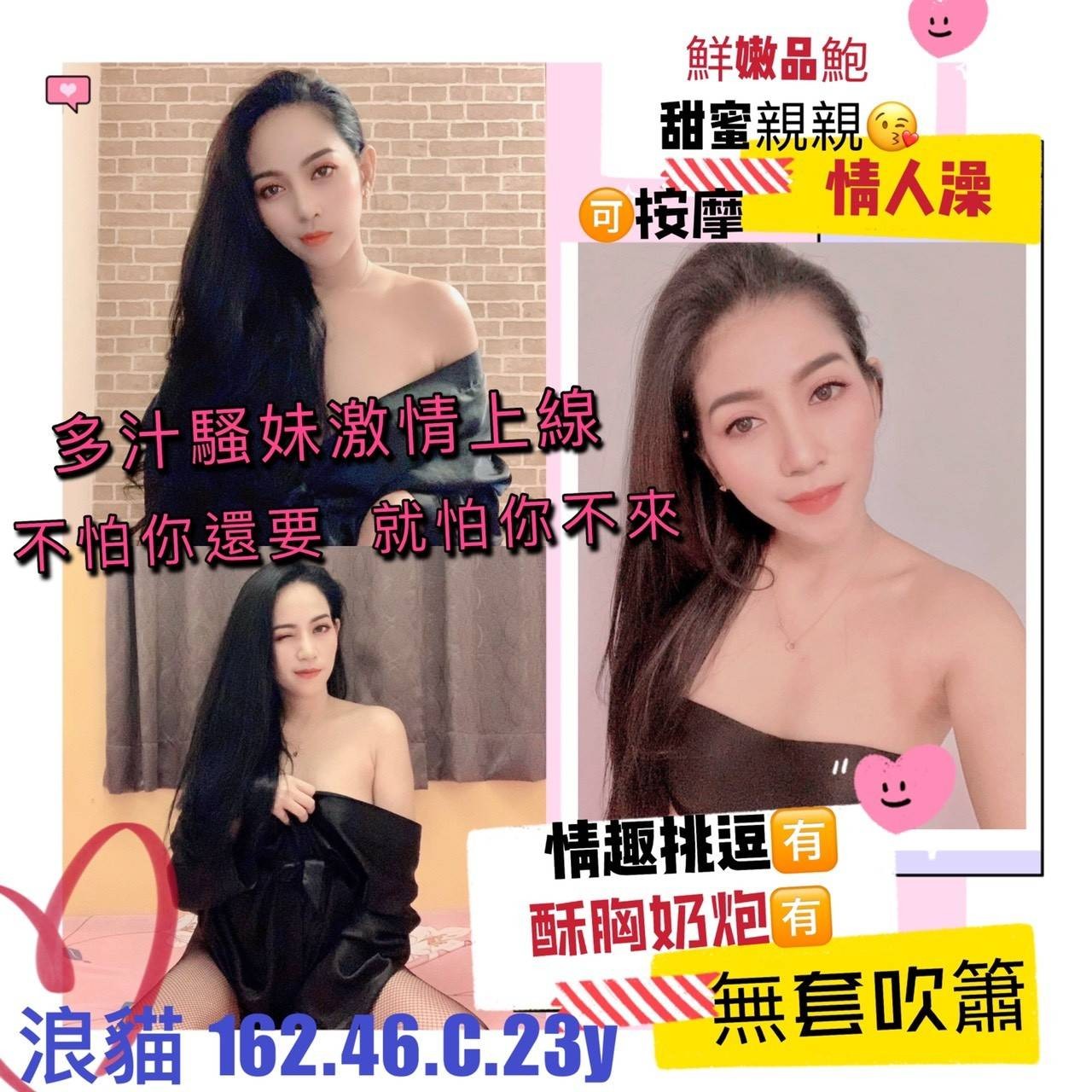 泰國花蓮浪貓定點圖片