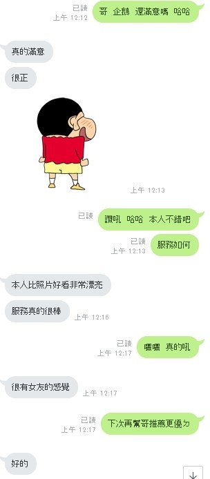 泰國雲林企鵝定點圖片