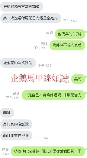 泰國雲林企鵝定點圖片