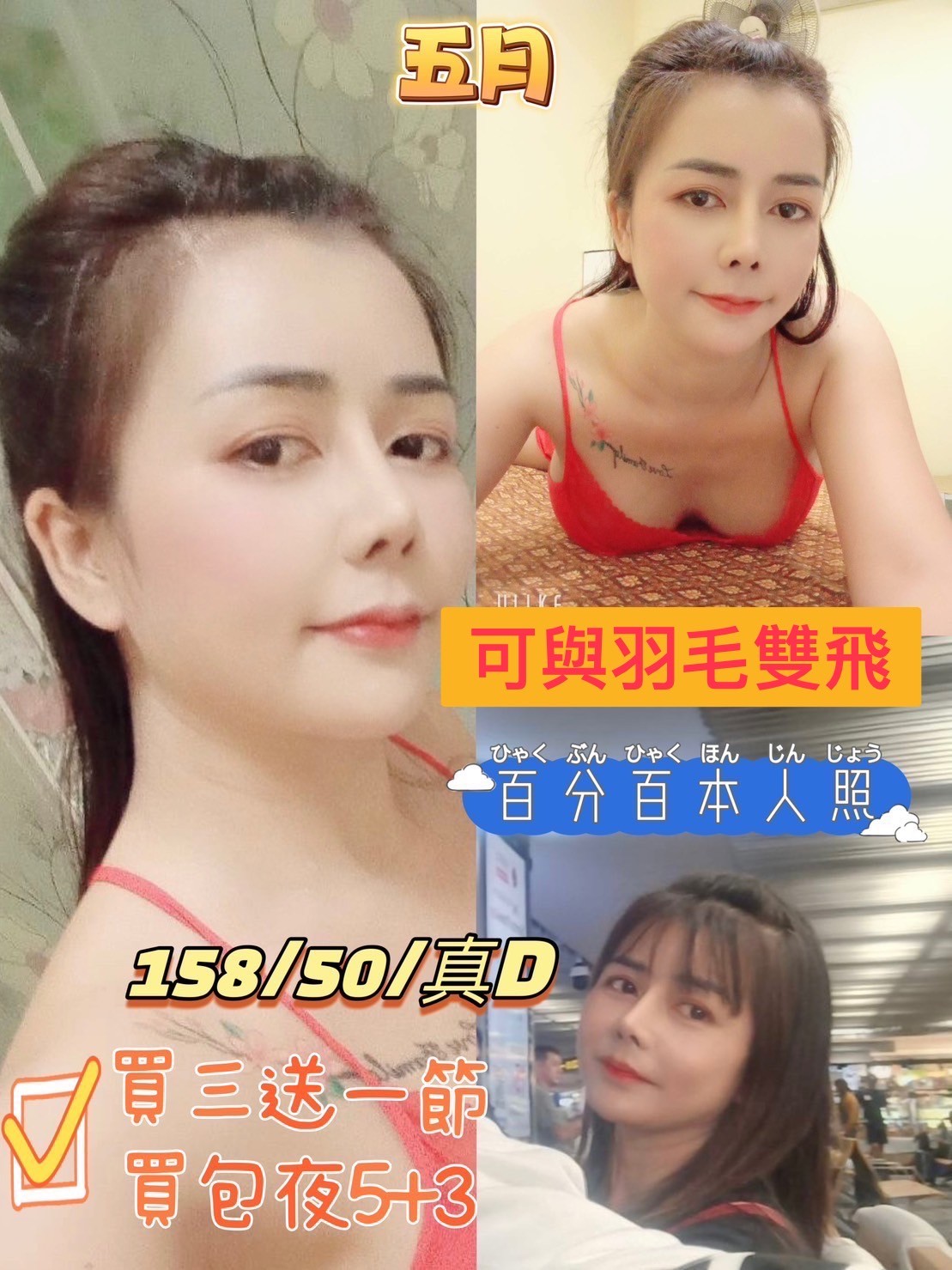 泰國高雄五月定點圖片