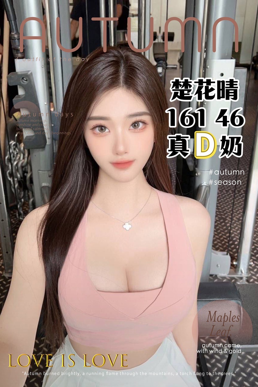 港澳台中楚花晴定點圖片