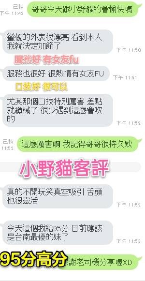 港澳台南小野貓定點圖片