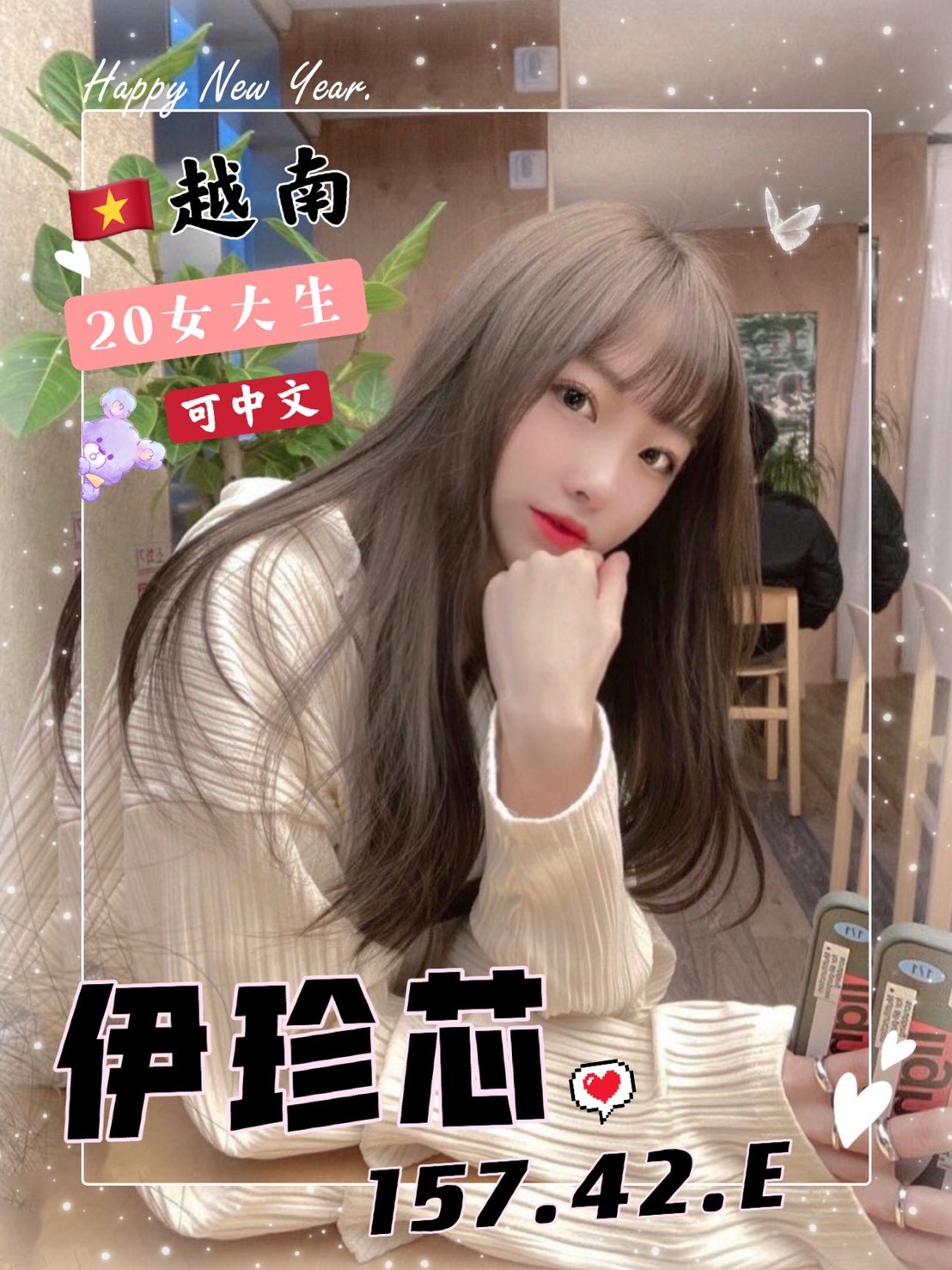 越南台中伊珍芯定點圖片